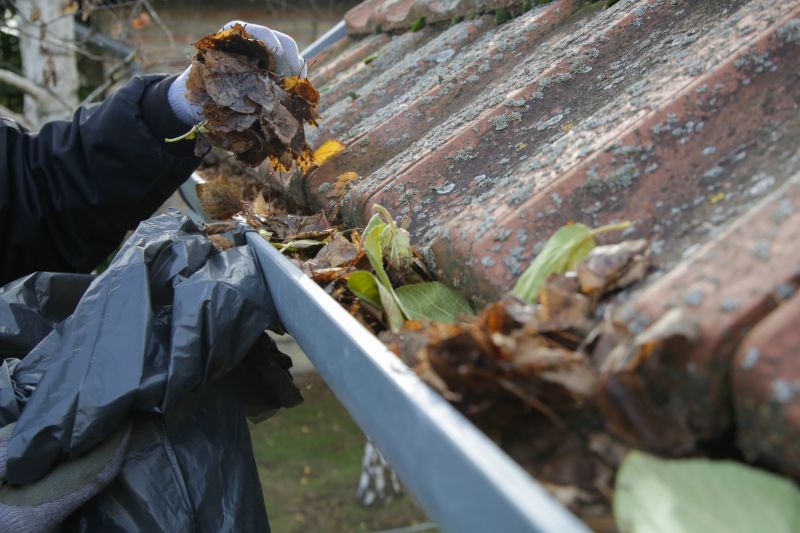 Clogged Gutter with Leaves