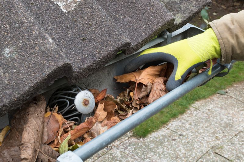 Fall Gutter Maintenance